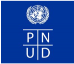 pnud